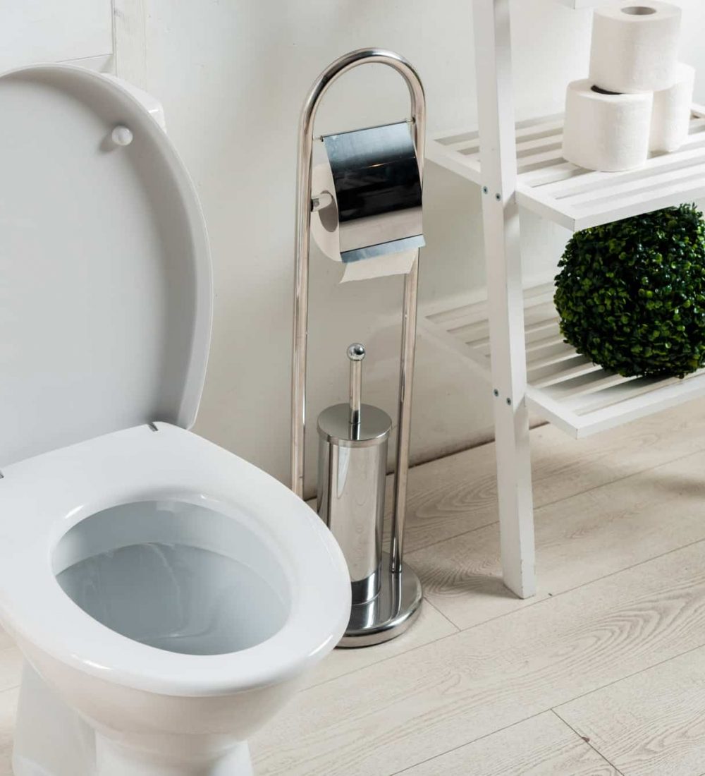 interior of white modern bathroom with toilet bowl near folding screen, toilet brush, toilet paper,